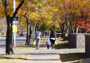 Two women and a small child walk down a sunny sidewalk, their backs to us.